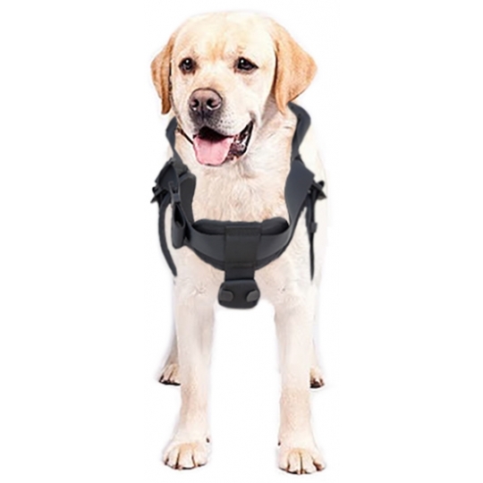 Kaya Safety DH-30 Köpek Kurtarma Kemeri Kaya Safety DH-30 Köpek Kurtarma Kemeri